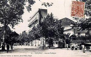 Djidjelli - Avenue Cadaigne